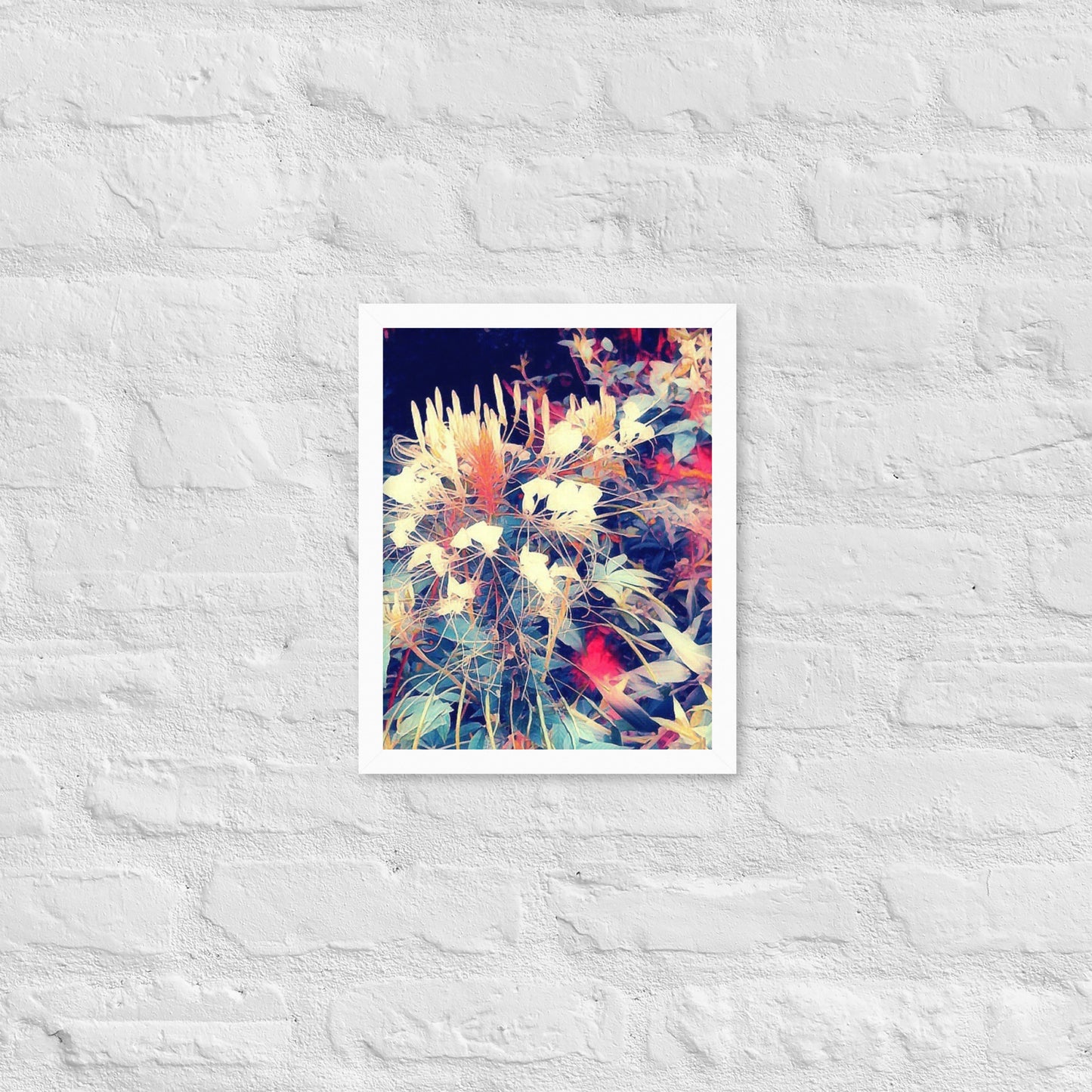 Cleome Framed Botanical poster - A. Mandaline Art